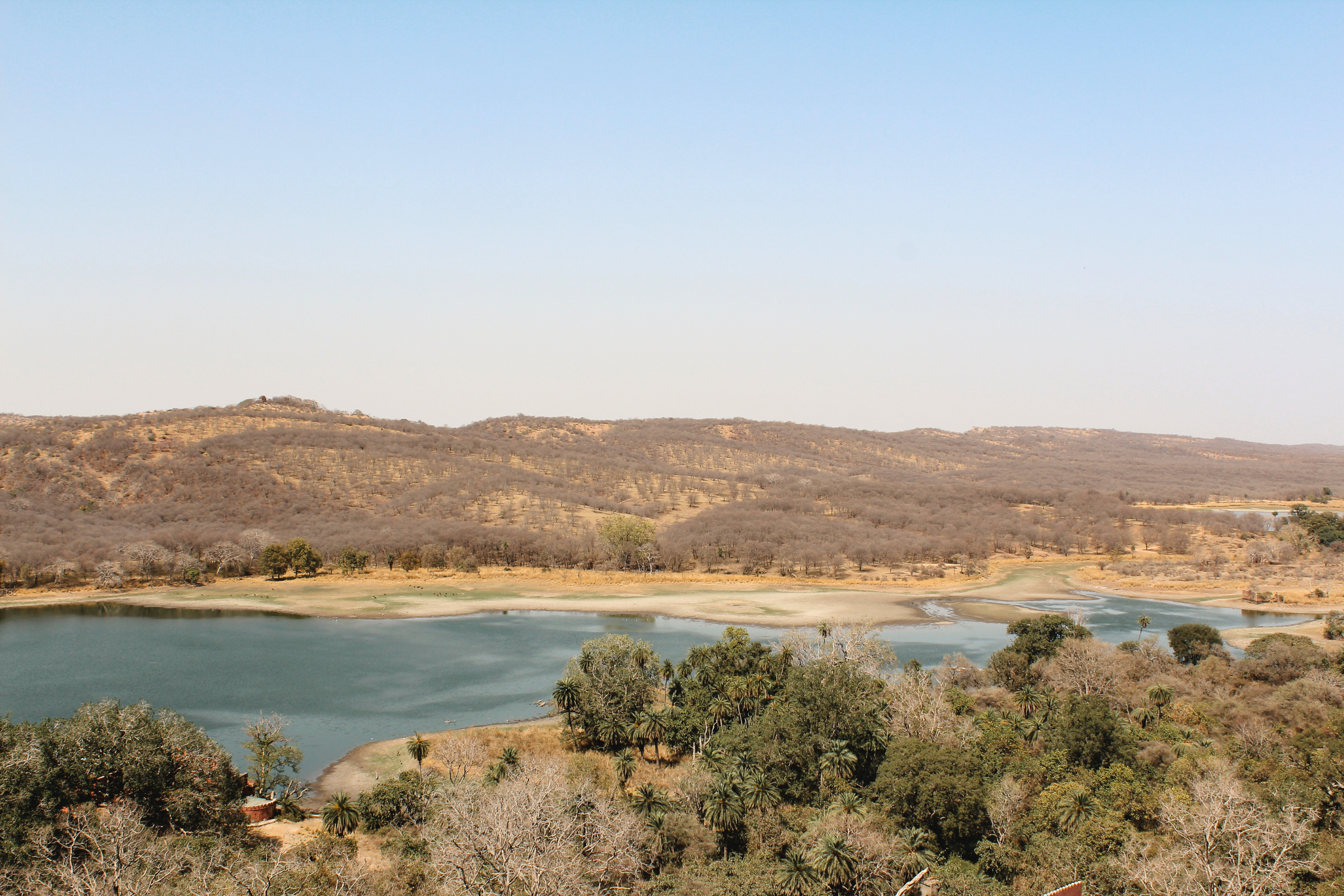 16_Sawai_Madhopur[1].webp